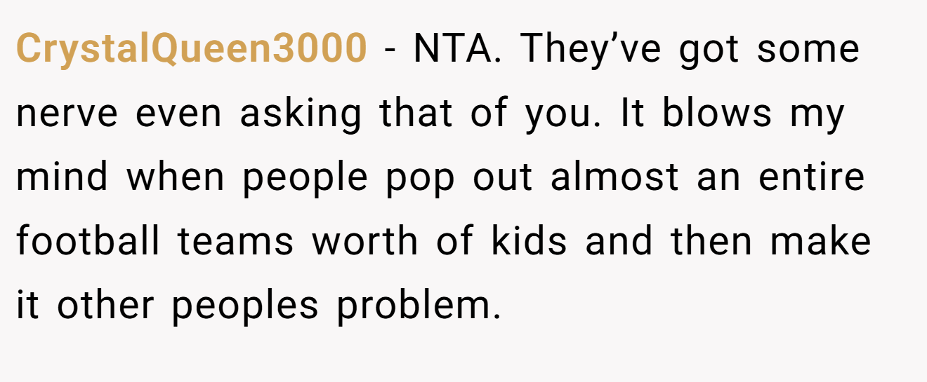 CrystalQueen3000 - NTA. They’ve got some nerve even asking that of you. It blows my mind when people pop out almost an entire football teams worth of kids and then make it other peoples problem.