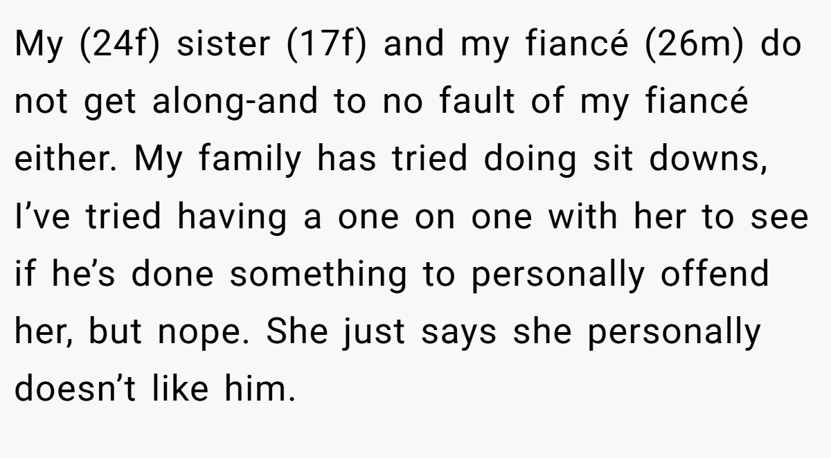 My (24f) sister (17f) and my fiancé (26m) do not get along-and to no fault of my fiancé either. My family has tried doing sit downs, I’ve tried having a one on one with her to see if he’s done something to personally offend her, but nope. She just says she personally doesn’t like him.