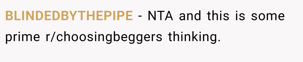 BLINDEDBYTHEPIPE − NTA and this is some prime r/choosingbeggers thinking.