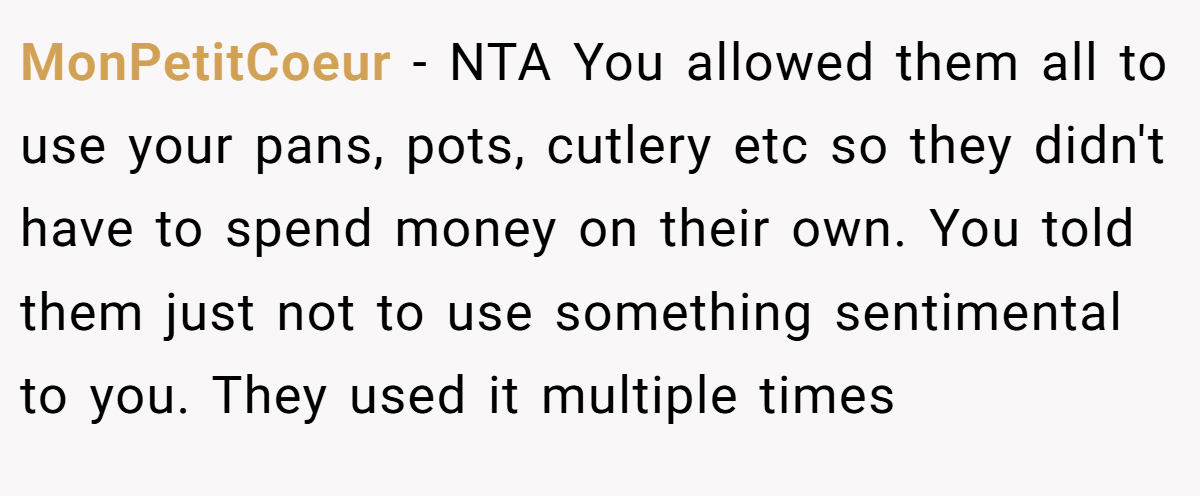 MonPetitCoeur − NTA You allowed them all to use your pans, pots, cutlery etc so they didn't have to spend money on their own. You told them just not to use something sentimental to you. They used it multiple times
