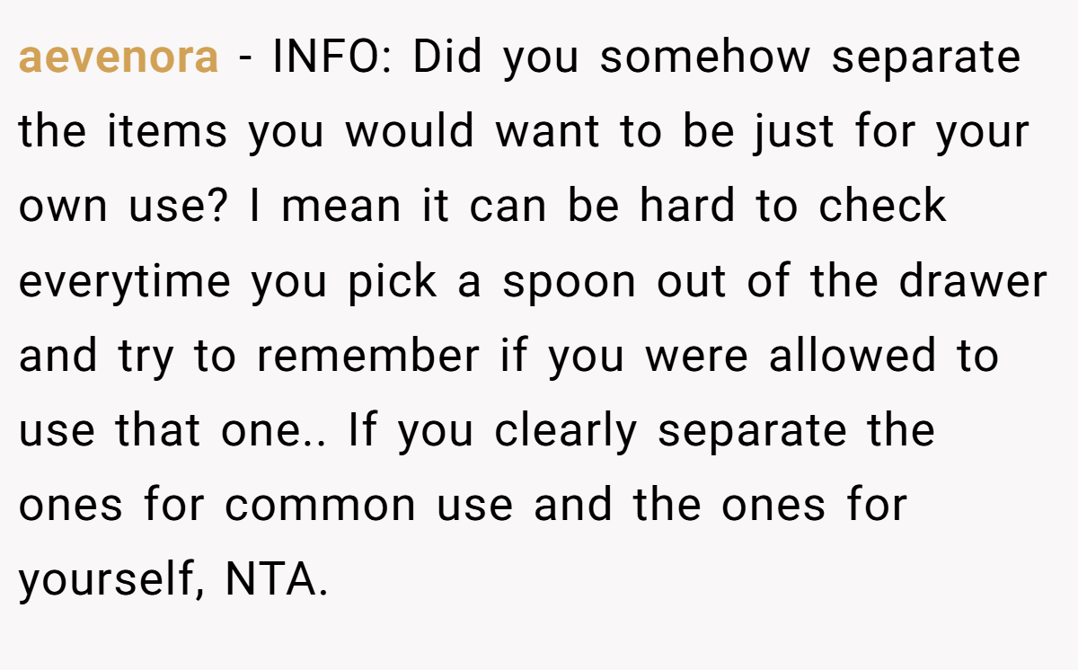 aevenora − INFO: Did you somehow separate the items you would want to be just for your own use? I mean it can be hard to check everytime you pick a spoon out of the drawer and try to remember if you were allowed to use that one.. If you clearly separate the ones for common use and the ones for yourself, NTA.