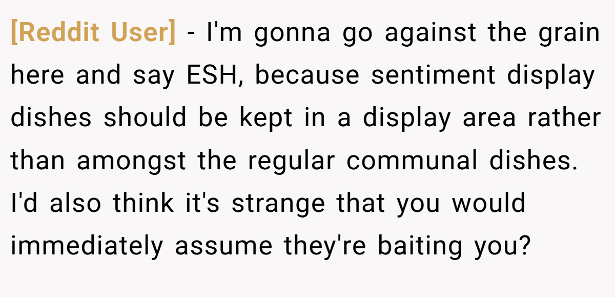 [Reddit User] − I'm gonna go against the grain here and say ESH, because sentiment display dishes should be kept in a display area rather than amongst the regular communal dishes. I'd also think it's strange that you would immediately assume they're baiting you?