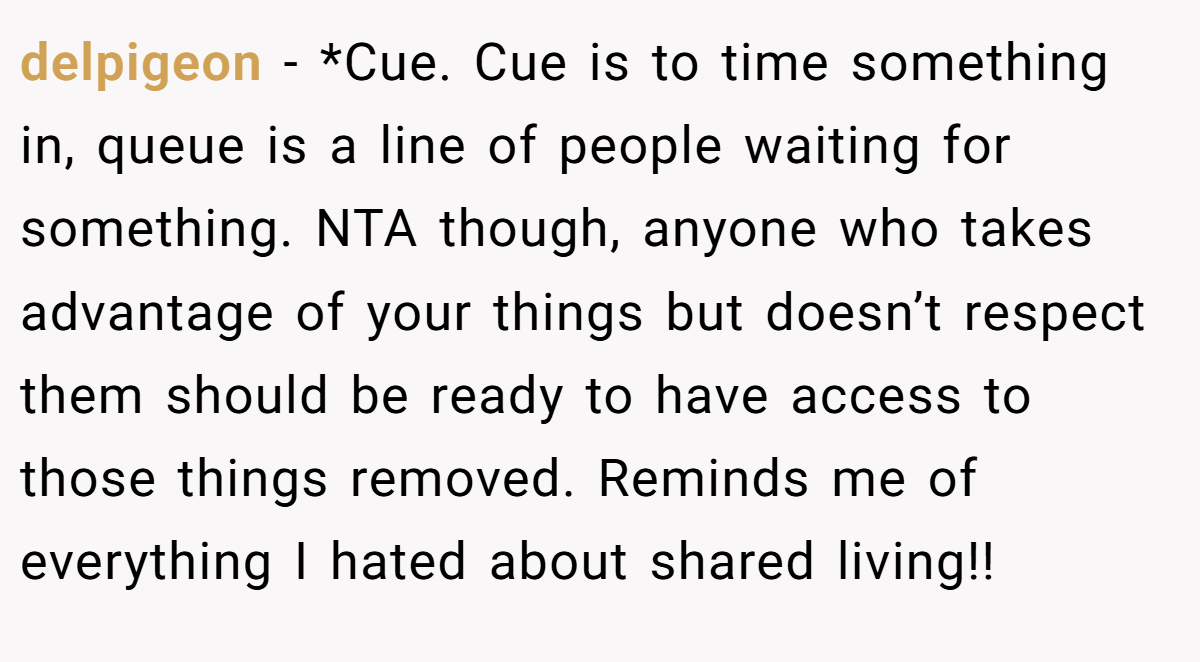 delpigeon − *Cue. Cue is to time something in, queue is a line of people waiting for something. NTA though, anyone who takes advantage of your things but doesn’t respect them should be ready to have access to those things removed. Reminds me of everything I hated about shared living!!
