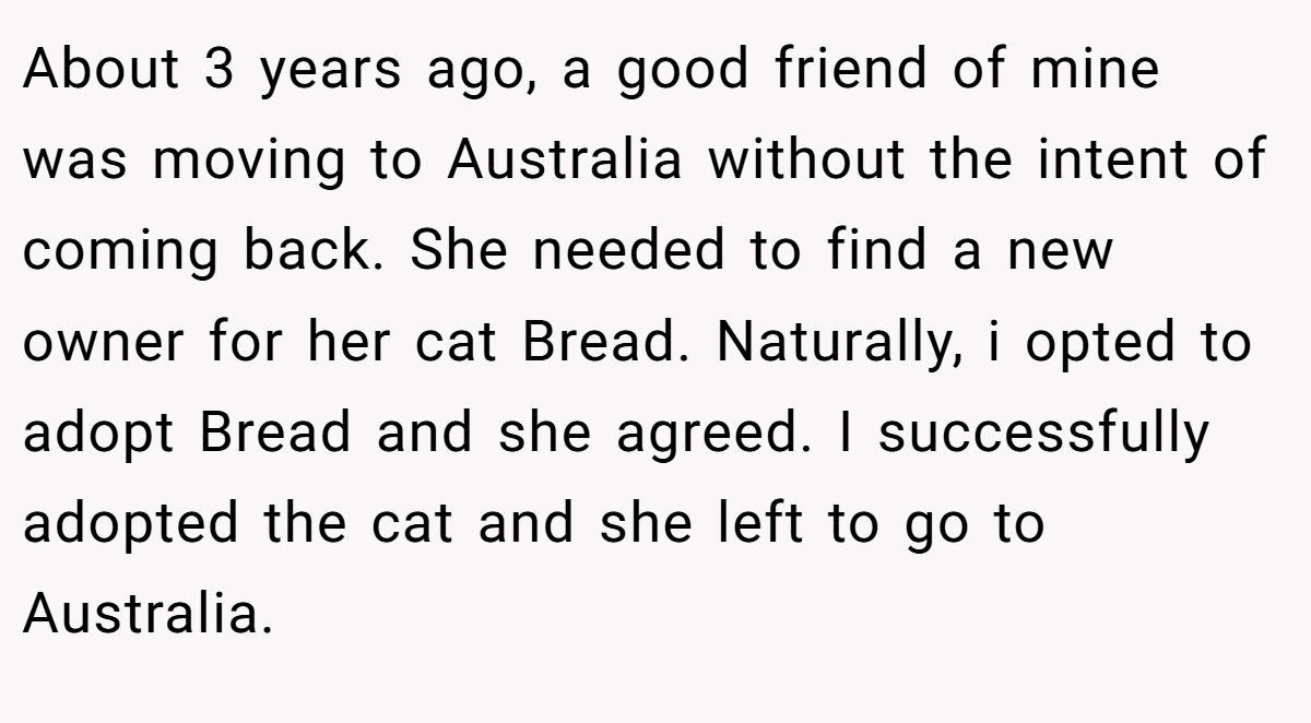 About 3 years ago, a good friend of mine was moving to Australia without the intent of coming back. She needed to find a new owner for her cat Bread. Naturally, i opted to adopt Bread and she agreed. I successfully adopted the cat and she left to go to Australia.
