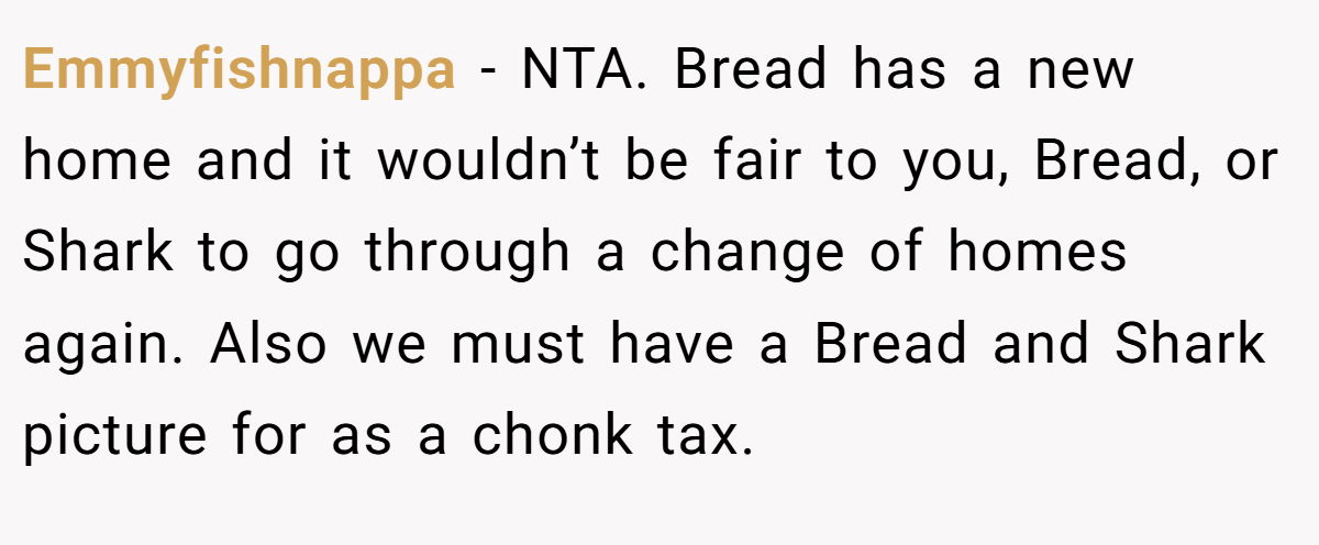 Emmyfishnappa − NTA. Bread has a new home and it wouldn’t be fair to you, Bread, or Shark to go through a change of homes again. Also we must have a Bread and Shark picture for as a chonk tax.