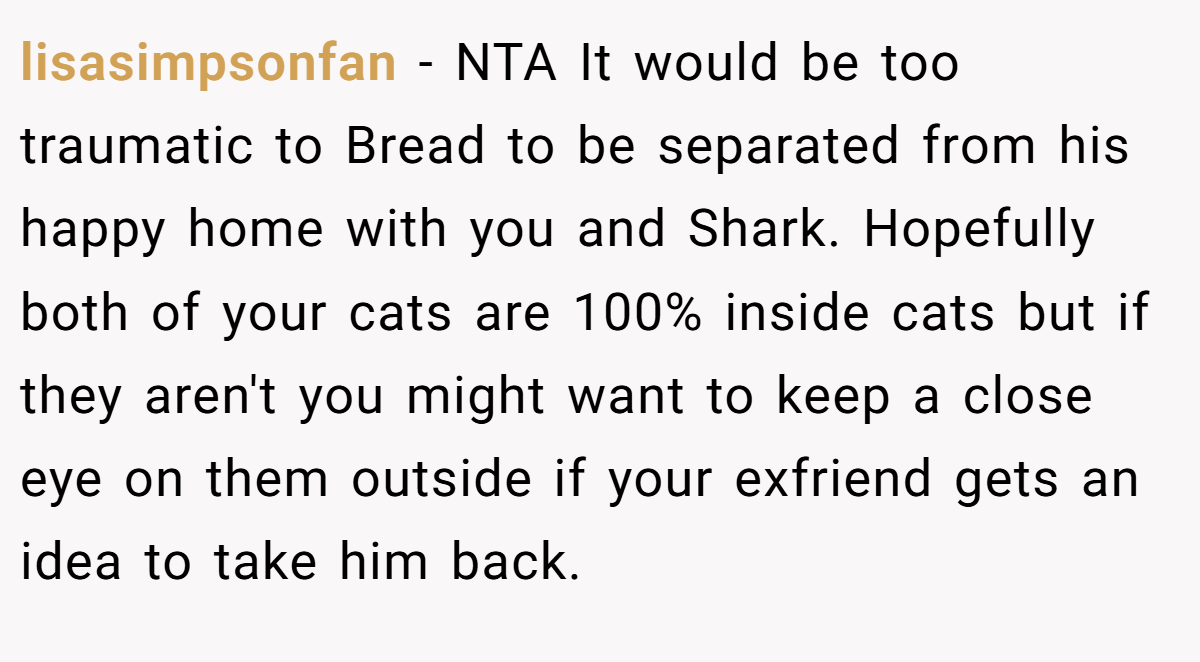 lisasimpsonfan − NTA It would be too traumatic to Bread to be separated from his happy home with you and Shark. Hopefully both of your cats are 100% inside cats but if they aren't you might want to keep a close eye on them outside if your exfriend gets an idea to take him back.