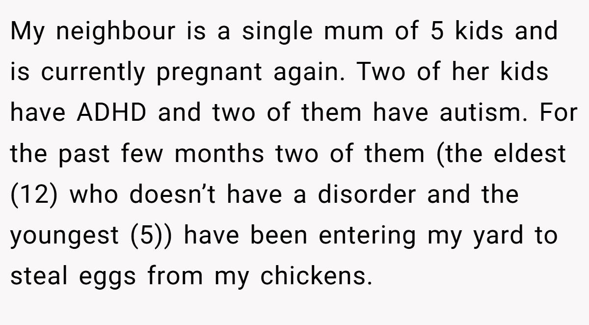 My neighbour is a single mum of 5 kids and is currently pregnant again. Two of her kids have ADHD and two of them have autism. For the past few months two of them (the eldest (12) who doesn’t have a disorder and the youngest (5)) have been entering my yard to steal eggs from my chickens.