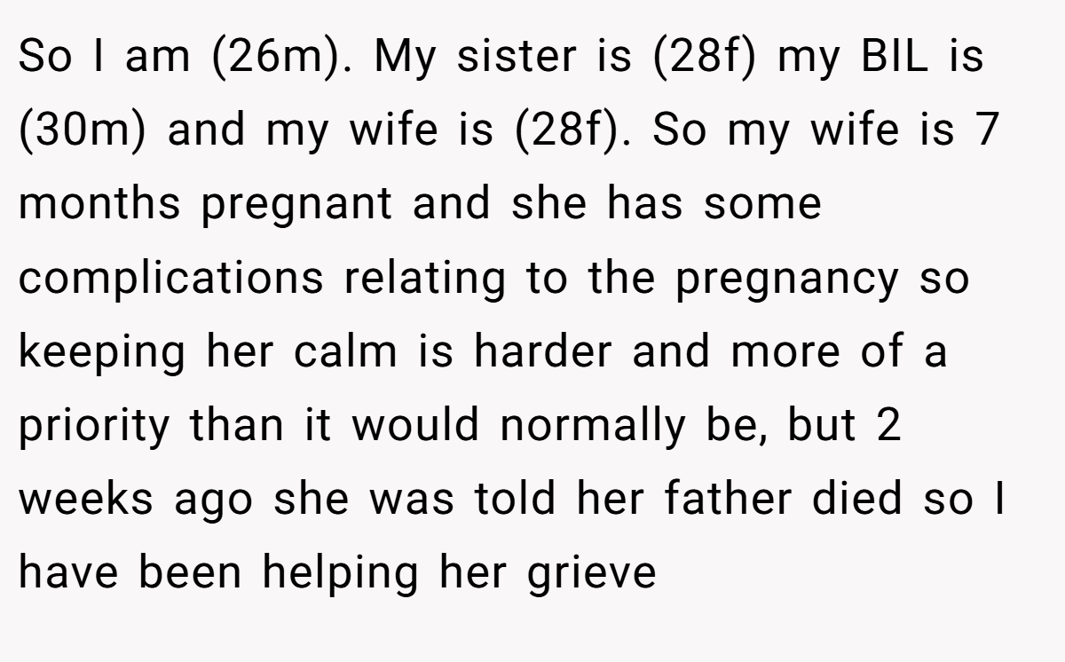 So I am (26m). My sister is (28f) my BIL is (30m) and my wife is (28f). So my wife is 7 months pregnant and she has some complications relating to the pregnancy so keeping her calm is harder and more of a priority than it would normally be, but 2 weeks ago she was told her father died so I have been helping her grieve