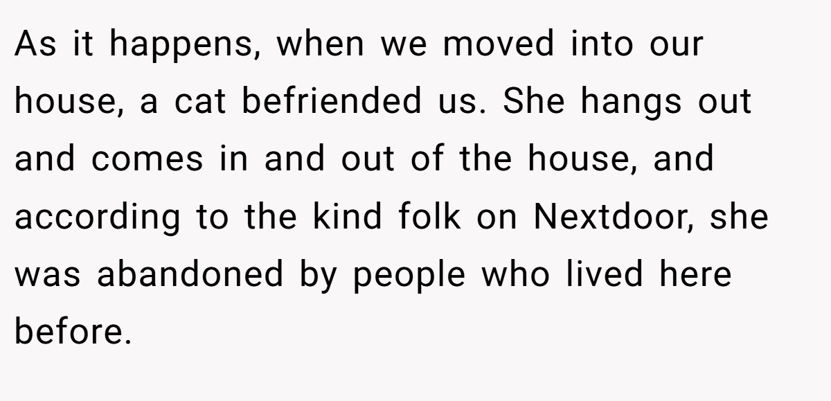 As it happens, when we moved into our house, a cat befriended us. She hangs out and comes in and out of the house, and according to the kind folk on Nextdoor, she was abandoned by people who lived here before.