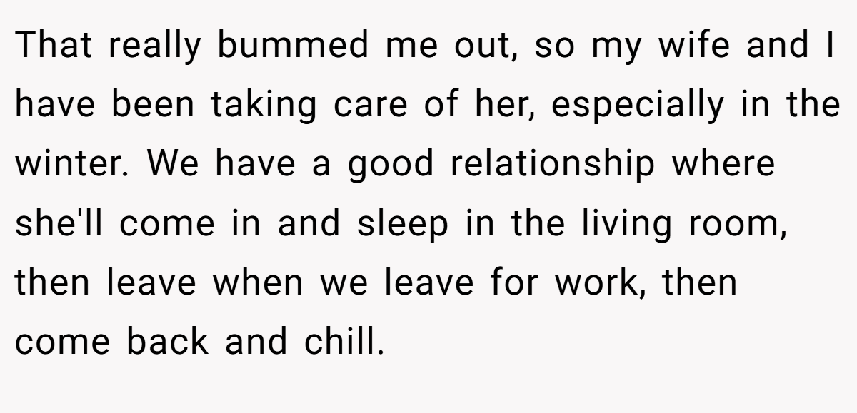 That really bummed me out, so my wife and I have been taking care of her, especially in the winter. We have a good relationship where she'll come in and sleep in the living room, then leave when we leave for work, then come back and chill.