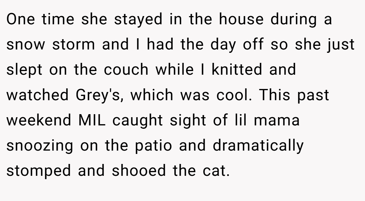 One time she stayed in the house during a snow storm and I had the day off so she just slept on the couch while I knitted and watched Grey's, which was cool. This past weekend MIL caught sight of lil mama snoozing on the patio and dramatically stomped and shooed the cat.