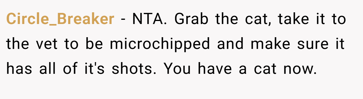 Circle_Breaker − NTA. Grab the cat, take it to the vet to be microchipped and make sure it has all of it's shots. You have a cat now.