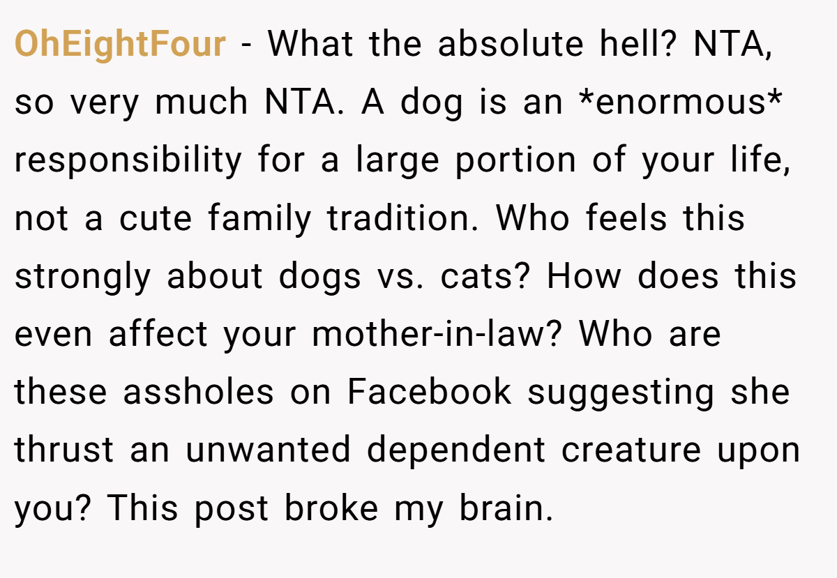 OhEightFour − What the absolute hell? NTA, so very much NTA. A dog is an *enormous* responsibility for a large portion of your life, not a cute family tradition. Who feels this strongly about dogs vs. cats? How does this even affect your mother-in-law? Who are these assholes on Facebook suggesting she thrust an unwanted dependent creature upon you? This post broke my brain.