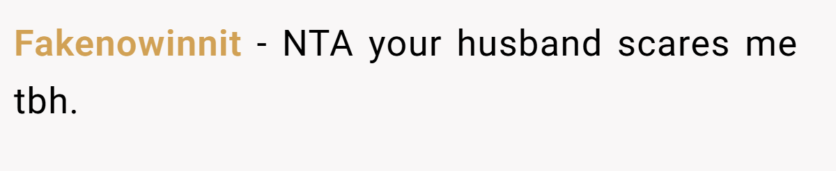 Fakenowinnit − NTA your husband scares me tbh.