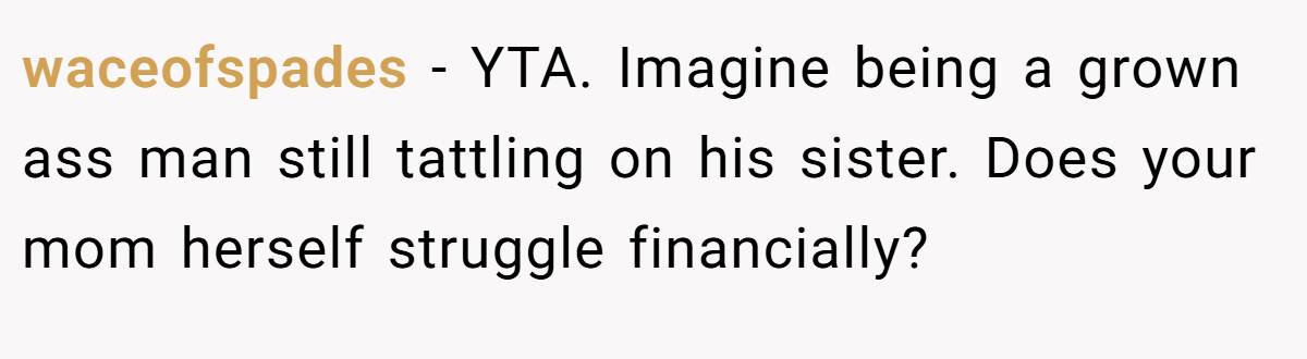 waceofspades − YTA. Imagine being a grown ass man still tattling on his sister. Does your mom herself struggle financially?