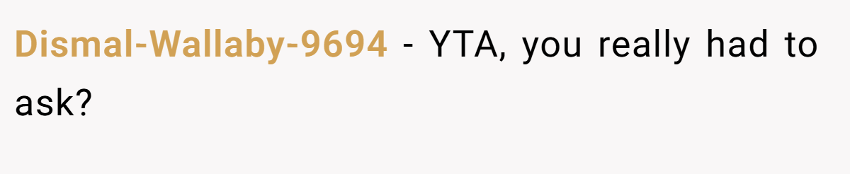 Dismal-Wallaby-9694 − YTA, you really had to ask?