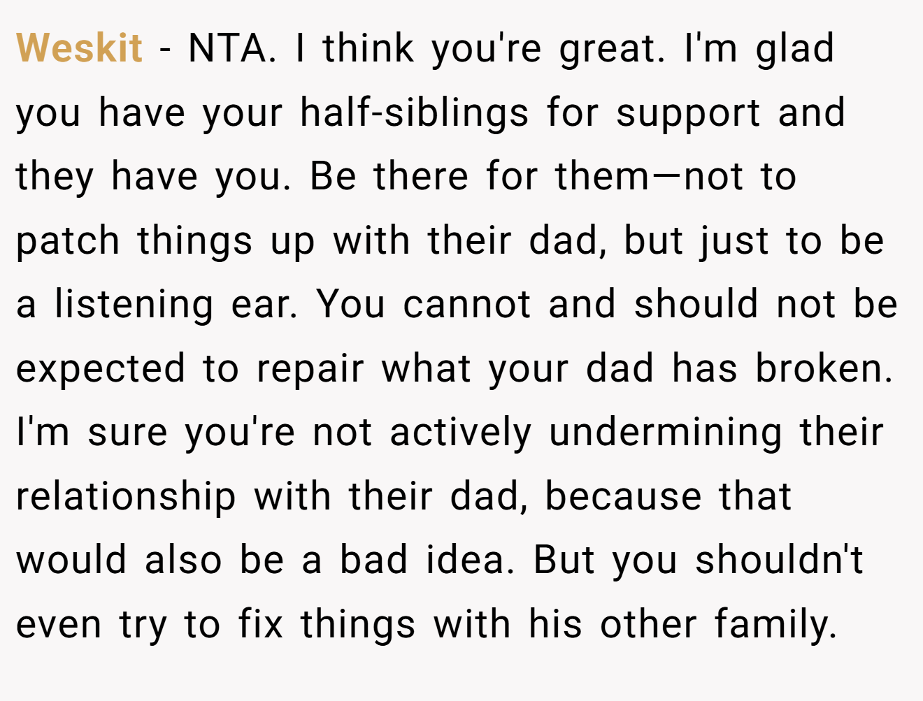 Weskit - NTA. I think you're great. I'm glad you have your half-siblings for support and they have you. Be there for them—not to patch things up with their dad, but just to be a listening ear. You cannot and should not be expected to repair what your dad has broken. I'm sure you're not actively undermining their relationship with their dad, because that would also be a bad idea. But you shouldn't even try to fix things with his other family.