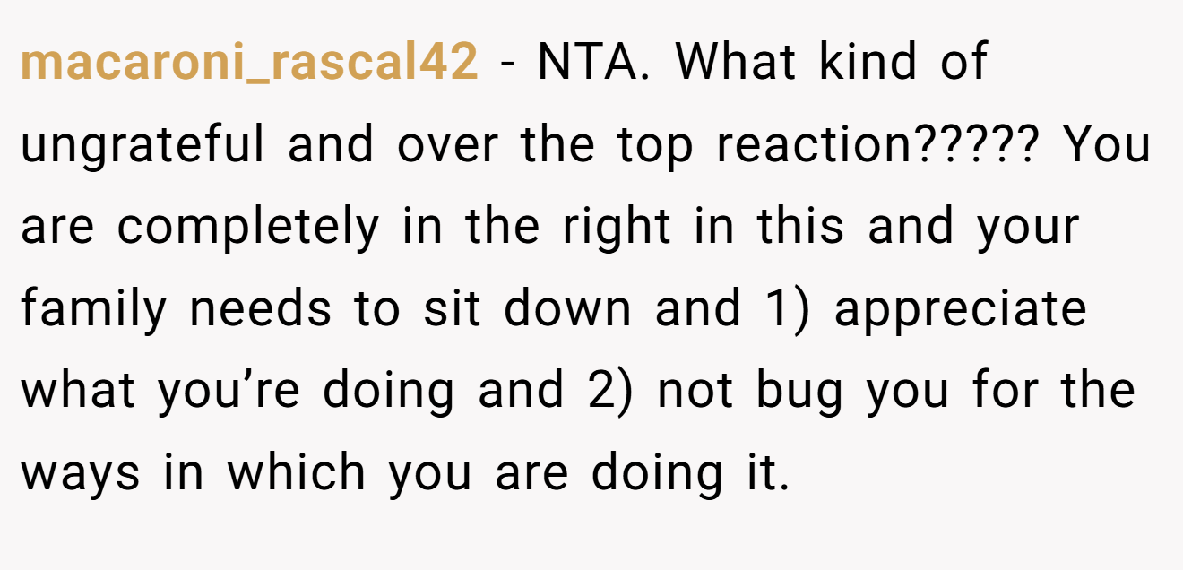 macaroni_rascal42 − NTA. What kind of ungrateful and over the top reaction????? You are completely in the right in this and your family needs to sit down and 1) appreciate what you’re doing and 2) not bug you for the ways in which you are doing it.