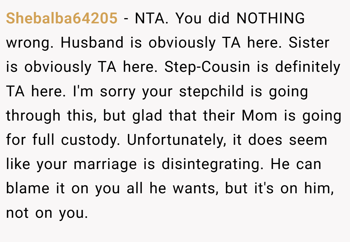 Shebalba64205 − NTA. You did NOTHING wrong. Husband is obviously TA here. Sister is obviously TA here. Step-Cousin is definitely TA here. I'm sorry your stepchild is going through this, but glad that their Mom is going for full custody. Unfortunately, it does seem like your marriage is disintegrating. He can blame it on you all he wants, but it's on him, not on you.