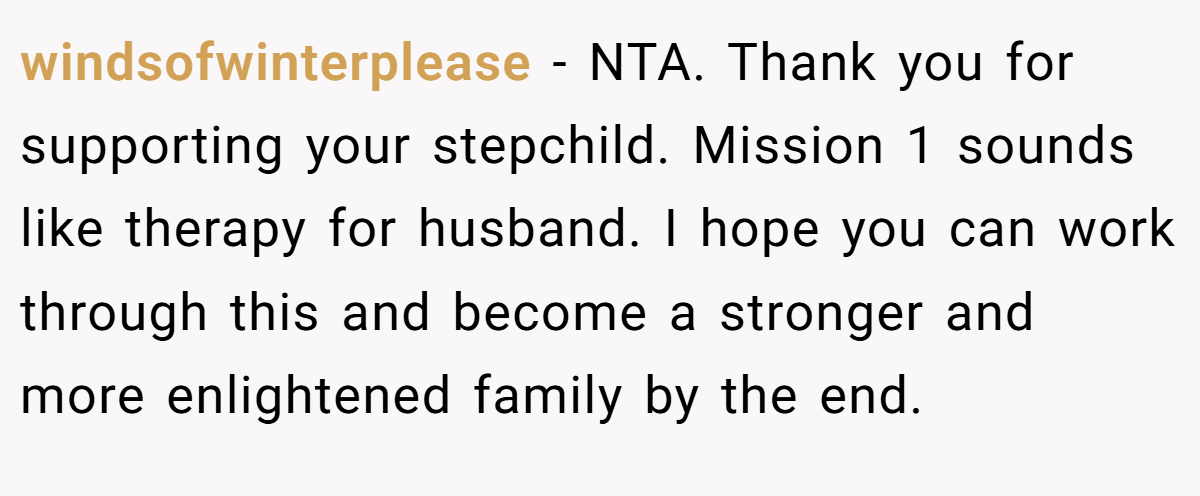 windsofwinterplease − NTA. Thank you for supporting your stepchild. Mission 1 sounds like therapy for husband. I hope you can work through this and become a stronger and more enlightened family by the end.