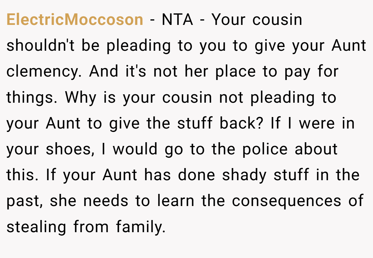 ElectricMoccoson − NTA - Your cousin shouldn't be pleading to you to give your Aunt clemency. And it's not her place to pay for things. Why is your cousin not pleading to your Aunt to give the stuff back? If I were in your shoes, I would go to the police about this. If your Aunt has done shady stuff in the past, she needs to learn the consequences of stealing from family.