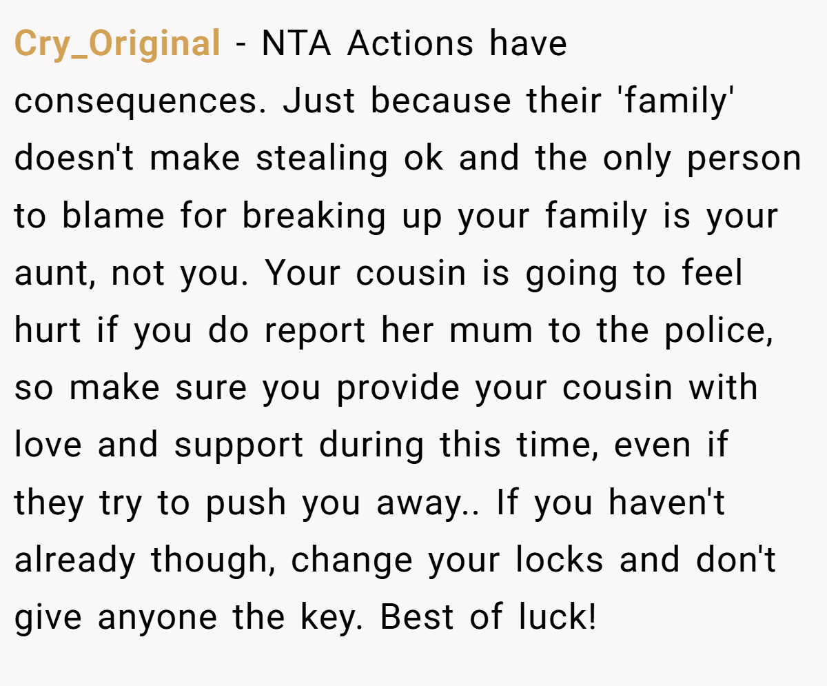 Cry_Original − NTA Actions have consequences. Just because their 'family' doesn't make stealing ok and the only person to blame for breaking up your family is your aunt, not you. Your cousin is going to feel hurt if you do report her mum to the police, so make sure you provide your cousin with love and support during this time, even if they try to push you away.. If you haven't already though, change your locks and don't give anyone the key. Best of luck!