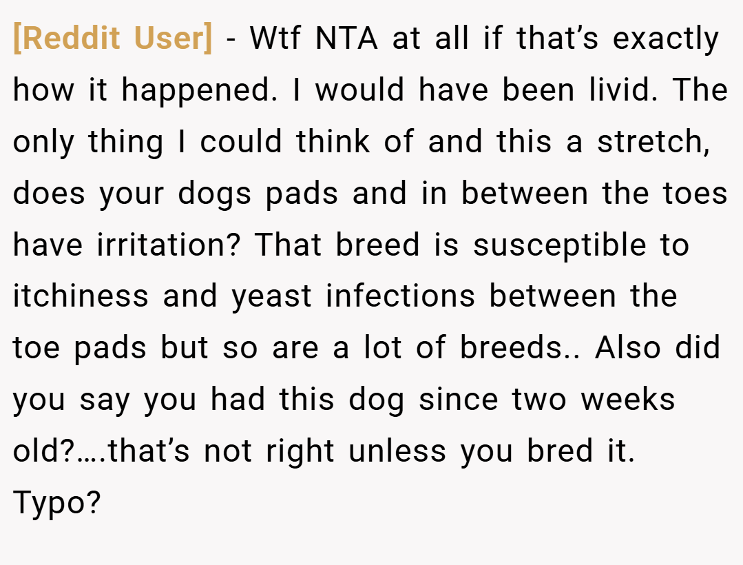[Reddit User] − Wtf NTA at all if that’s exactly how it happened. I would have been livid. The only thing I could think of and this a stretch, does your dogs pads and in between the toes have irritation? That breed is susceptible to itchiness and yeast infections between the toe pads but so are a lot of breeds.. Also did you say you had this dog since two weeks old?….that’s not right unless you bred it. Typo?