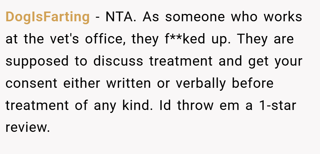 DogIsFarting − NTA. As someone who works at the vet's office, they f**ked up. They are supposed to discuss treatment and get your consent either written or verbally before treatment of any kind. Id throw em a 1-star review.