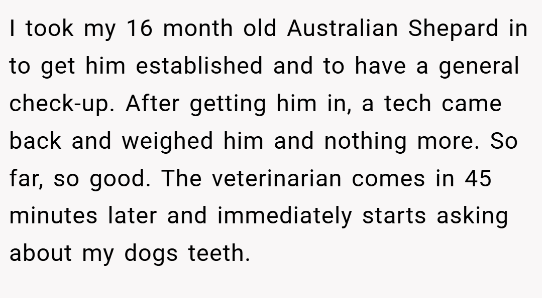 I took my 16 month old Australian Shepard in to get him established and to have a general check-up. After getting him in, a tech came back and weighed him and nothing more. So far, so good. The veterinarian comes in 45 minutes later and immediately starts asking about my dogs teeth.