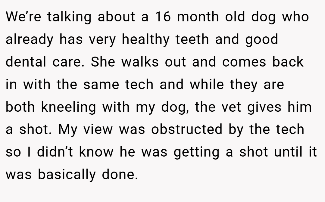We’re talking about a 16 month old dog who already has very healthy teeth and good dental care. She walks out and comes back in with the same tech and while they are both kneeling with my dog, the vet gives him a shot. My view was obstructed by the tech so I didn’t know he was getting a shot until it was basically done.