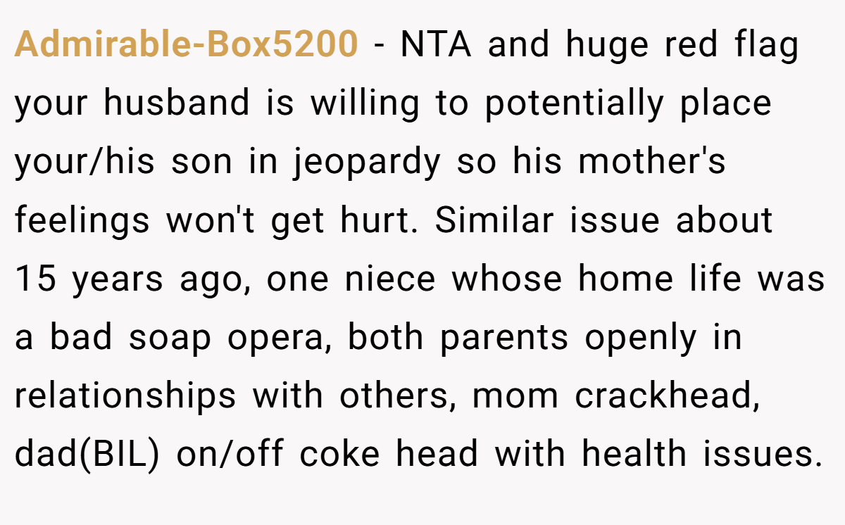 Admirable-Box5200 − NTA and huge red flag your husband is willing to potentially place your/his son in jeopardy so his mother's feelings won't get hurt. Similar issue about 15 years ago, one niece whose home life was a bad soap opera, both parents openly in relationships with others, mom crackhead, dad(BIL) on/off coke head with health issues.