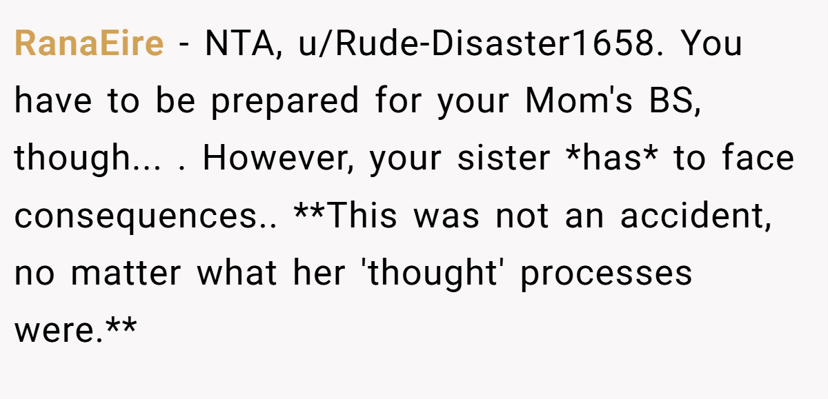 RanaEire − NTA, u/Rude-Disaster1658. You have to be prepared for your Mom's BS, though... . However, your sister *has* to face consequences.. **This was not an accident, no matter what her 'thought' processes were.**