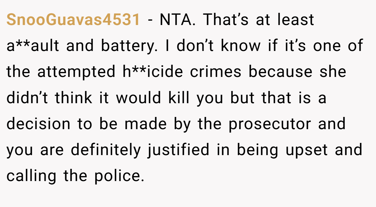 SnooGuavas4531 − NTA. That’s at least a**ault and battery. I don’t know if it’s one of the attempted h**icide crimes because she didn’t think it would kill you but that is a decision to be made by the prosecutor and you are definitely justified in being upset and calling the police.