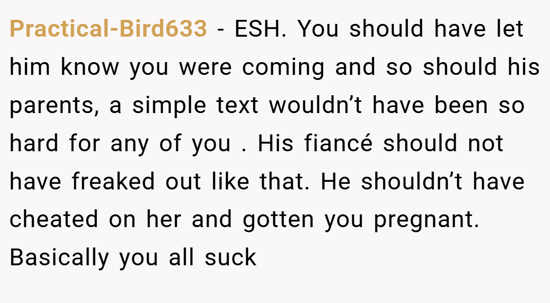 Practical-Bird633 − ESH. You should have let him know you were coming and so should his parents, a simple text wouldn’t have been so hard for any of you . His fiancé should not have freaked out like that. He shouldn’t have cheated on her and gotten you pregnant. Basically you all suck