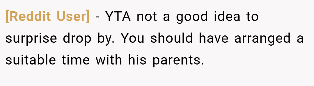 [Reddit User] − YTA not a good idea to surprise drop by. You should have arranged a suitable time with his parents.