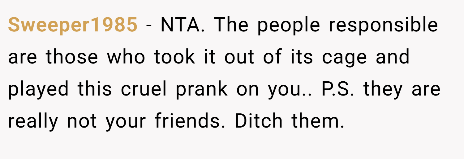 Sweeper1985 − NTA. The people responsible are those who took it out of its cage and played this cruel prank on you.. P.S. they are really not your friends. Ditch them.