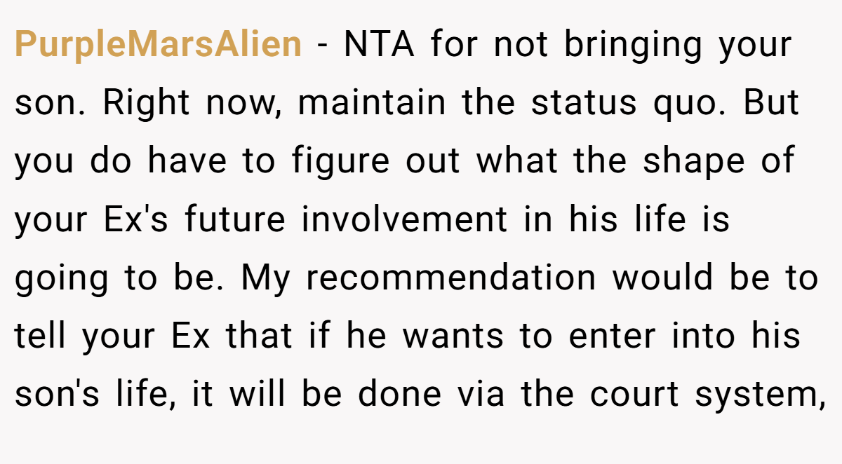 PurpleMarsAlien − NTA for not bringing your son. Right now, maintain the status quo. But you do have to figure out what the shape of your Ex's future involvement in his life is going to be. My recommendation would be to tell your Ex that if he wants to enter into his son's life, it will be done via the court system,