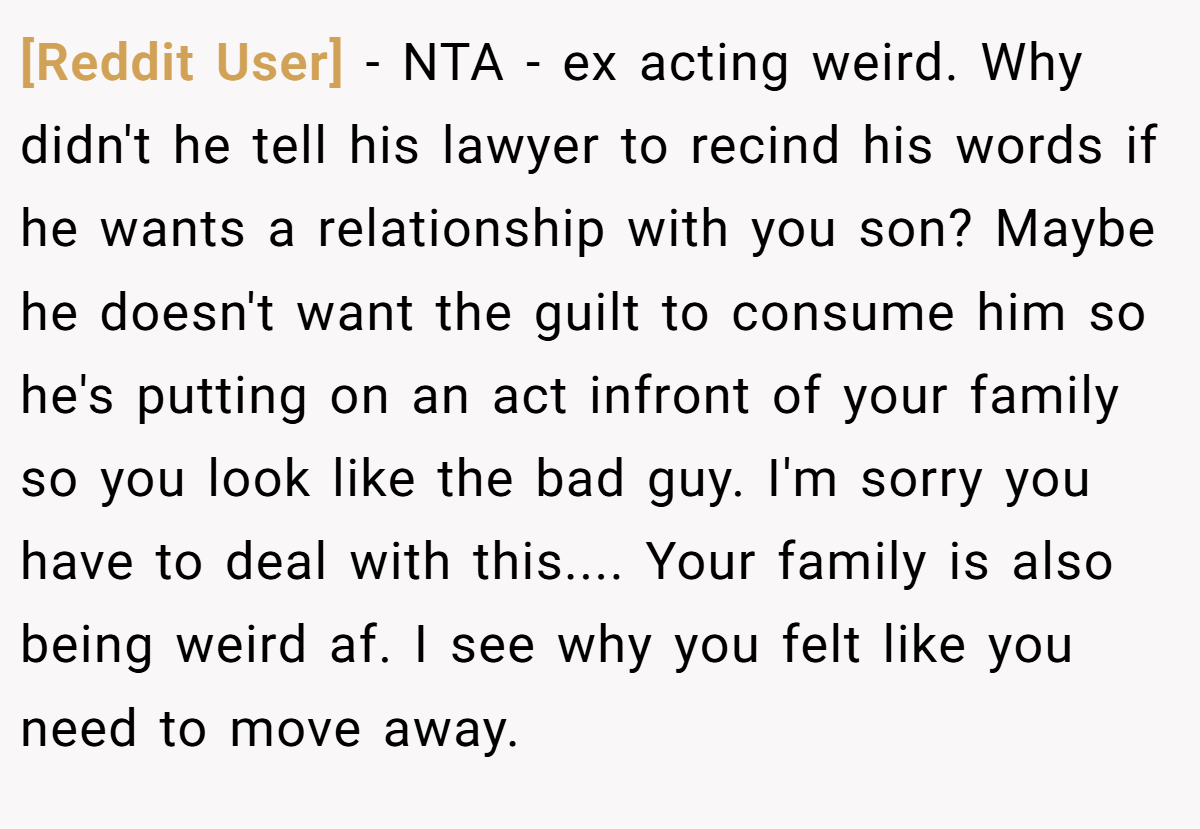 [Reddit User] − NTA - ex acting weird. Why didn't he tell his lawyer to recind his words if he wants a relationship with you son? Maybe he doesn't want the guilt to consume him so he's putting on an act infront of your family so you look like the bad guy. I'm sorry you have to deal with this.... Your family is also being weird af. I see why you felt like you need to move away.