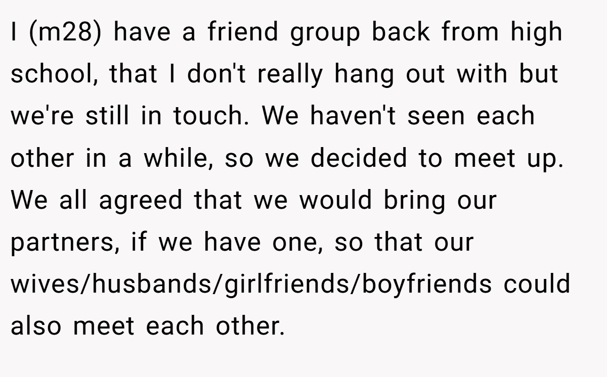 I (m28) have a friend group back from high school, that I don't really hang out with but we're still in touch. We haven't seen each other in a while, so we decided to meet up. We all agreed that we would bring our partners, if we have one, so that our wives/husbands/girlfriends/boyfriends could also meet each other.