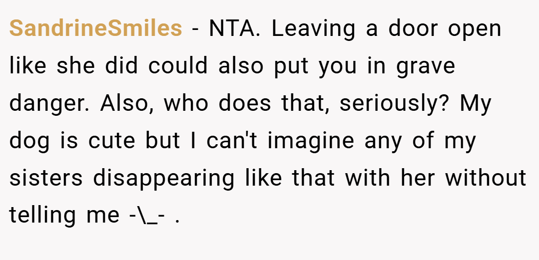 SandrineSmiles − NTA. Leaving a door open like she did could also put you in grave danger. Also, who does that, seriously? My dog is cute but I can't imagine any of my sisters disappearing like that with her without telling me -\_- .