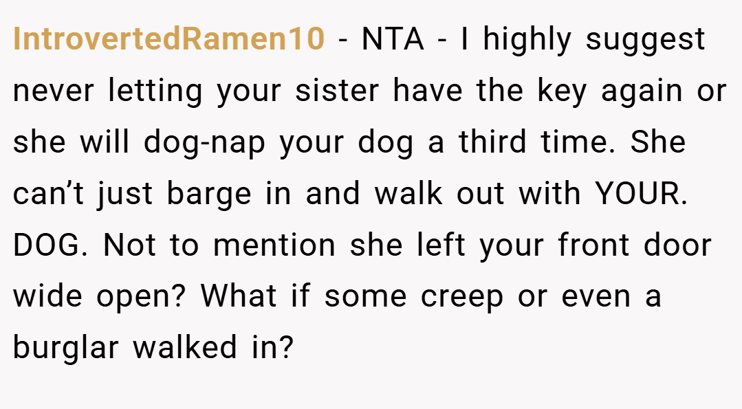 IntrovertedRamen10 − NTA - I highly suggest never letting your sister have the key again or she will dog-nap your dog a third time. She can’t just barge in and walk out with YOUR. DOG. Not to mention she left your front door wide open? What if some creep or even a burglar walked in?
