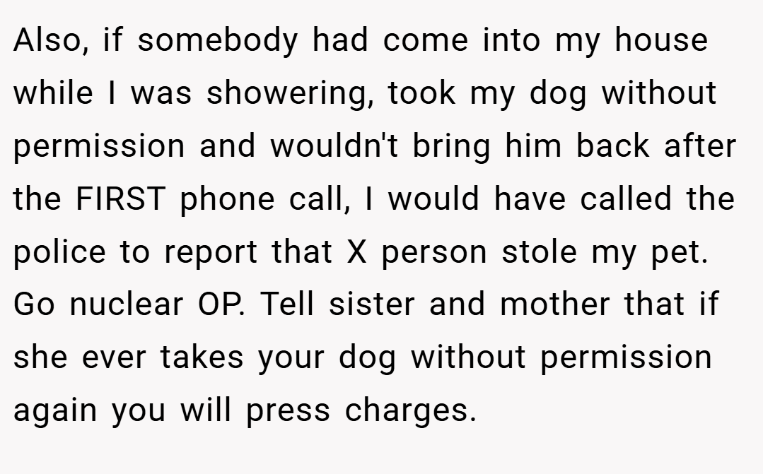 Also, if somebody had come into my house while I was showering, took my dog without permission and wouldn't bring him back after the FIRST phone call, I would have called the police to report that X person stole my pet. Go nuclear OP. Tell sister and mother that if she ever takes your dog without permission again you will press charges.