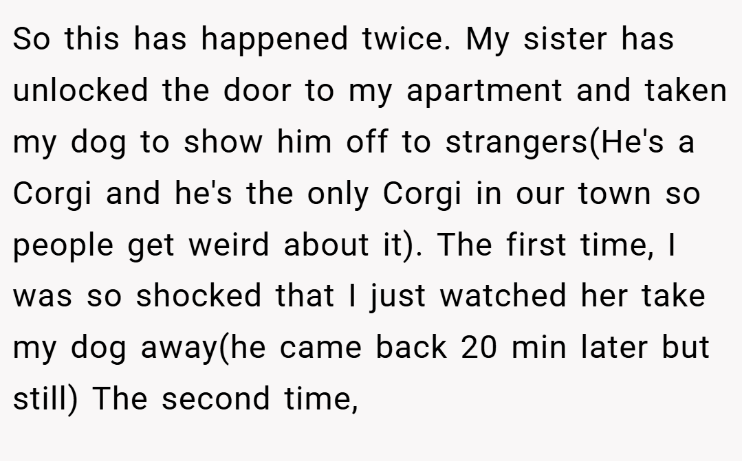 So this has happened twice. My sister has unlocked the door to my apartment and taken my dog to show him off to strangers(He's a Corgi and he's the only Corgi in our town so people get weird about it). The first time, I was so shocked that I just watched her take my dog away(he came back 20 min later but still) The second time,