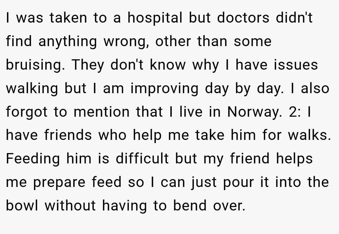 I was taken to a hospital but doctors didn't find anything wrong, other than some bruising. They don't know why I have issues walking but I am improving day by day. I also forgot to mention that I live in Norway. 2: I have friends who help me take him for walks. Feeding him is difficult but my friend helps me prepare feed so I can just pour it into the bowl without having to bend over.