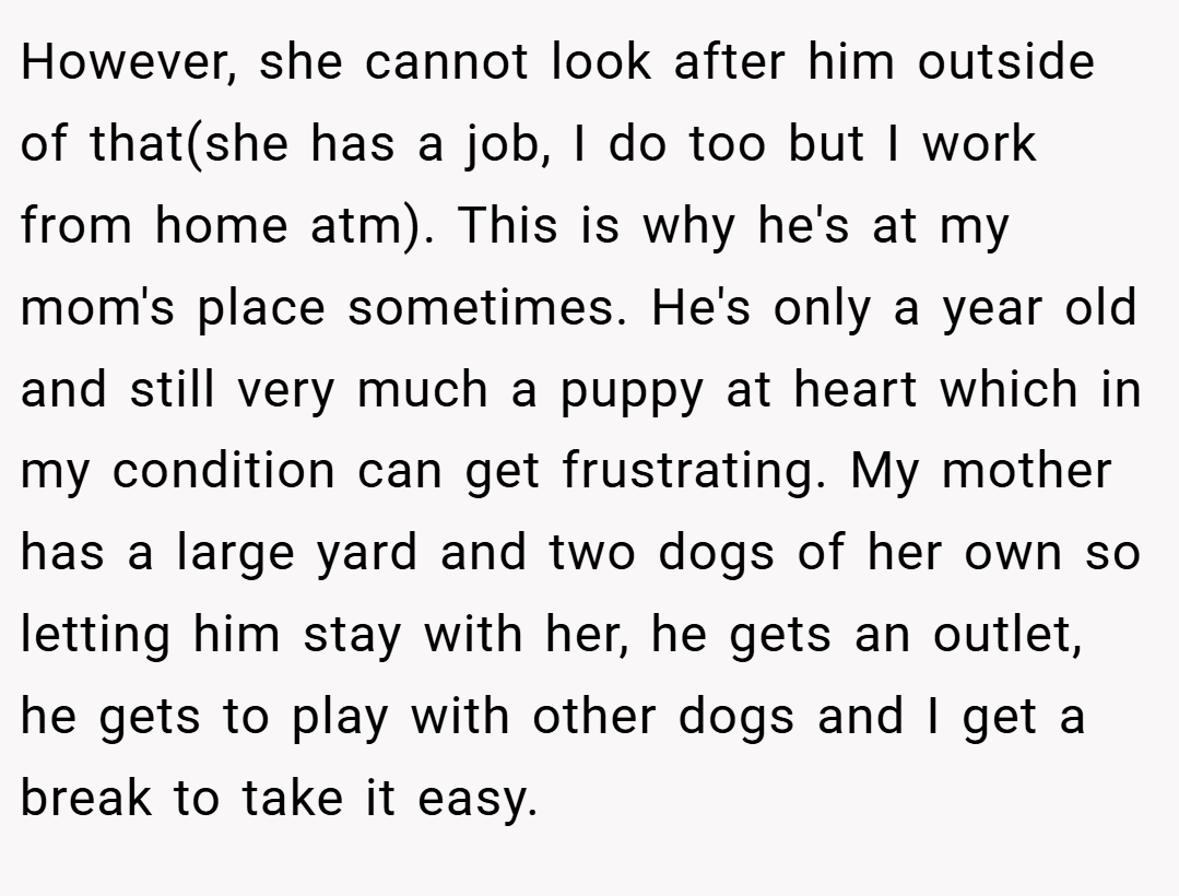 However, she cannot look after him outside of that(she has a job, I do too but I work from home atm). This is why he's at my mom's place sometimes. He's only a year old and still very much a puppy at heart which in my condition can get frustrating. My mother has a large yard and two dogs of her own so letting him stay with her, he gets an outlet, he gets to play with other dogs and I get a break to take it easy.
