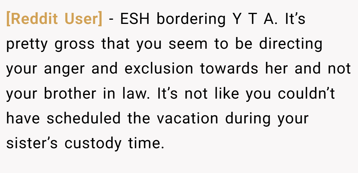 [Reddit User] − ESH bordering Y T A. It’s pretty gross that you seem to be directing your anger and exclusion towards her and not your brother in law. It’s not like you couldn’t have scheduled the vacation during your sister’s custody time.