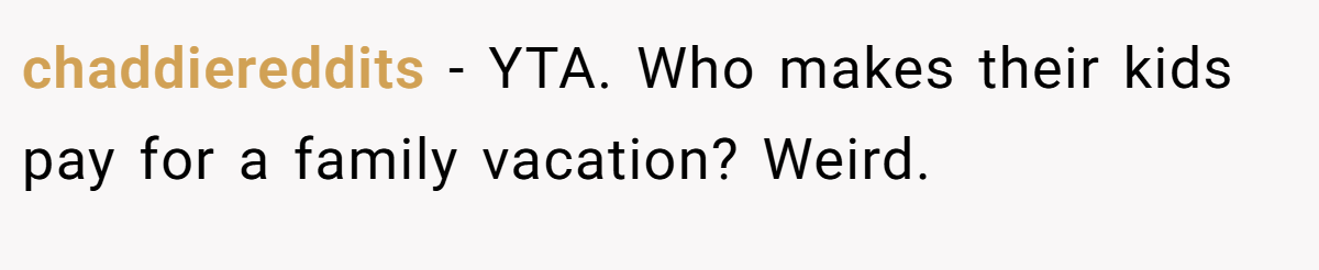 chaddiereddits − YTA. Who makes their kids pay for a family vacation? Weird.