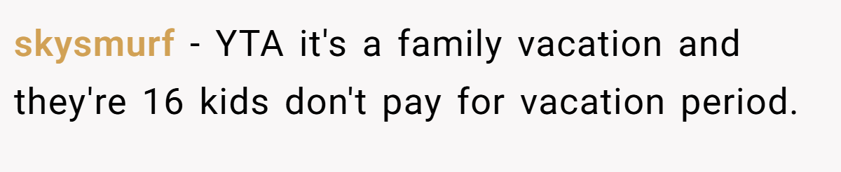 skysmurf − YTA it's a family vacation and they're 16 kids don't pay for vacation period.