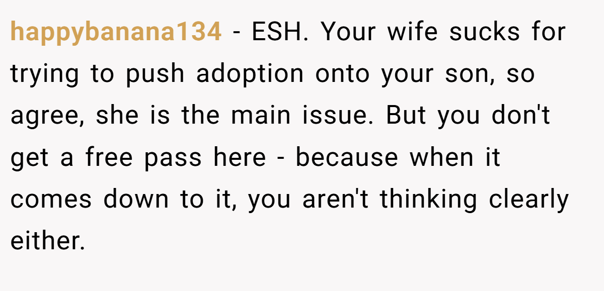 happybanana134 − ESH. Your wife sucks for trying to push adoption onto your son, so agree, she is the main issue. But you don't get a free pass here - because when it comes down to it, you aren't thinking clearly either.