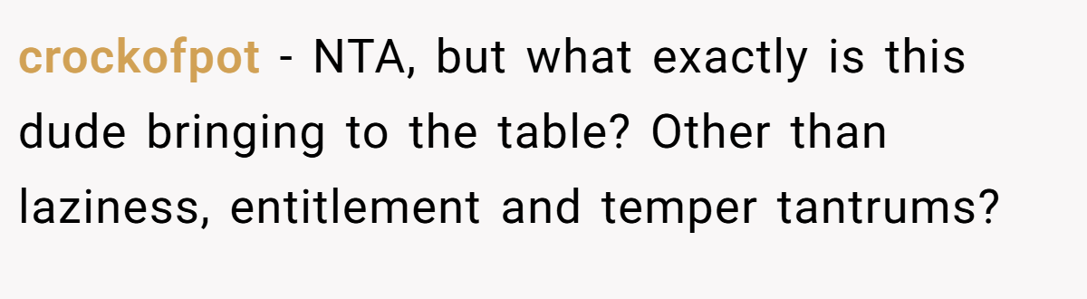 crockofpot − NTA, but what exactly is this dude bringing to the table? Other than laziness, entitlement and temper tantrums?